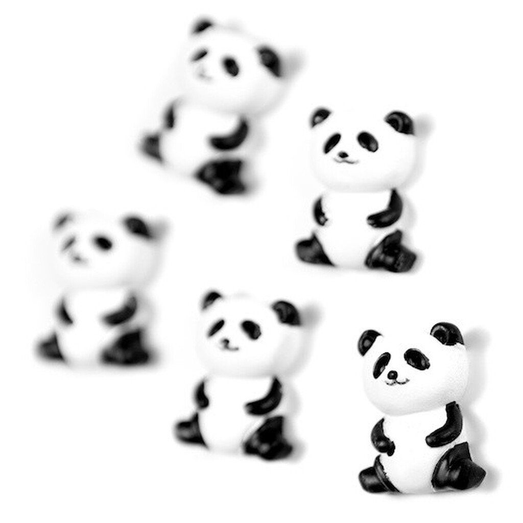 Magnetky na lednici panda medvídci 5 ks